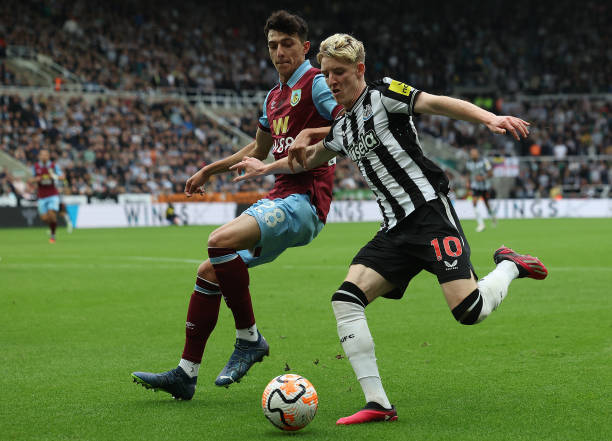 巴塞罗那的 巴塞罗那的